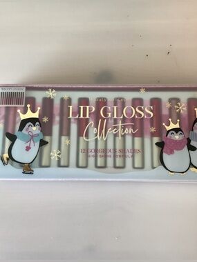 Lip Gloss Collection - 12 Shade Pink Set